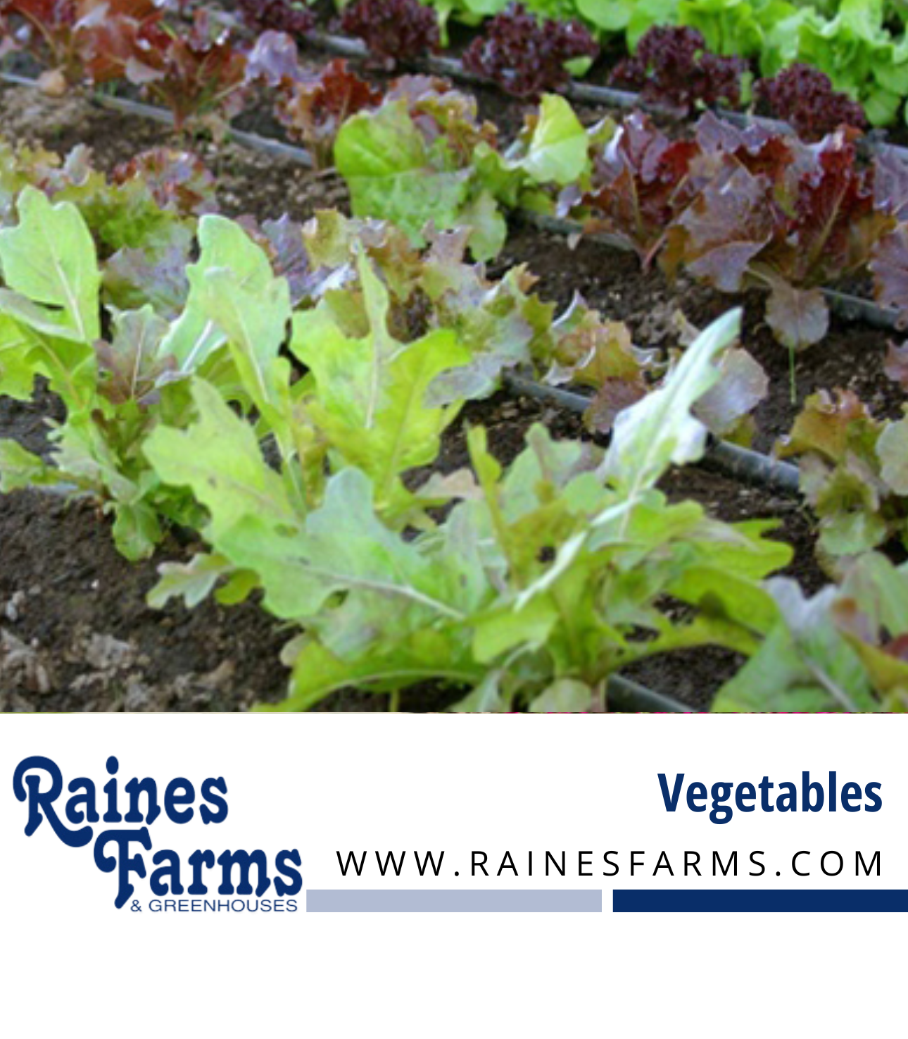 Vegetables